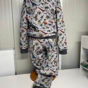 Joggingpak Dino's Maat 134/140